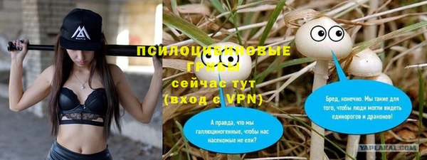 индика Инсар