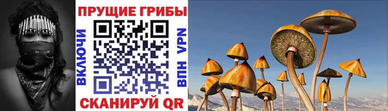 Псилоцибиновые грибы Magic Shrooms  Костерёво 